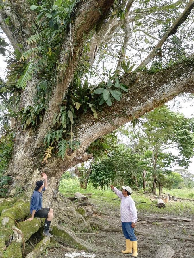 Hospedaje Y Tours Reina Arriera Amazonas Colombia Macedonia Exterior foto